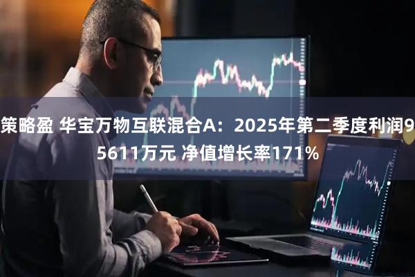 策略盈 华宝万物互联混合A：2025年第二季度利润95611万元 净值增长率171%