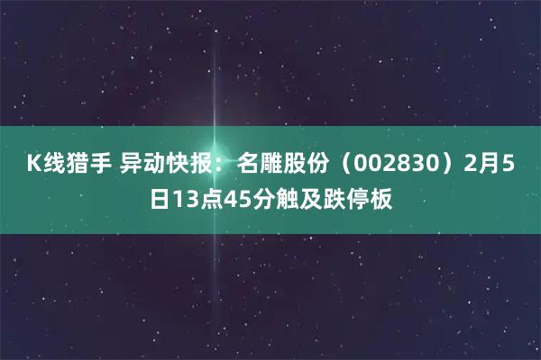 K线猎手 异动快报：名雕股份（002830）2月5日13点45分触及跌停板